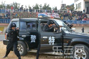 国产电影警匪飙车在线观看,国产警匪飙车风云